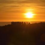 cambria_369 (November 03, 2018)